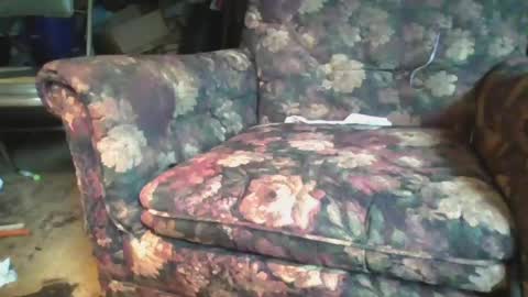 pspee313 online show from June 2026 12:30:02 PM