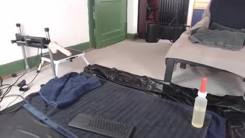 Pup Jake wants to play online show from March 2026 09:14:01 AM