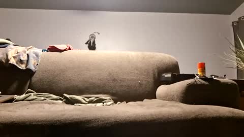 pussylicker517038 online show from April 2026 10:07:01 AM