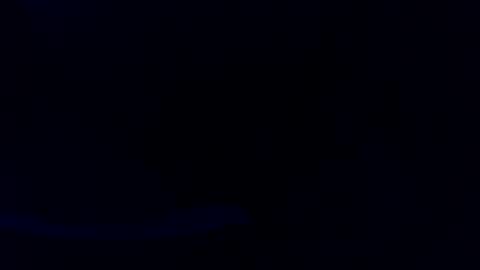 Snapshot of pyrichar31 chatting on July 2026 03:01:01 AM pyrichar31 online show from July 2026 03:01:01 AM