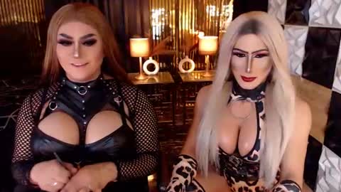 queen_horsecock online show from July 2026 09:06:02 AM