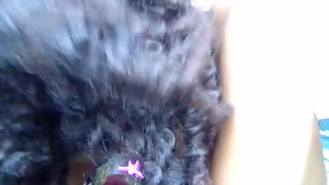 Quincy online show from March 2026 02:11:01 AM