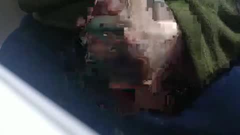 Snapshot of raccon68 chatting on February 2025 08:11:02 PM Raccoon68 online show from February 2025 08:11:02 PM