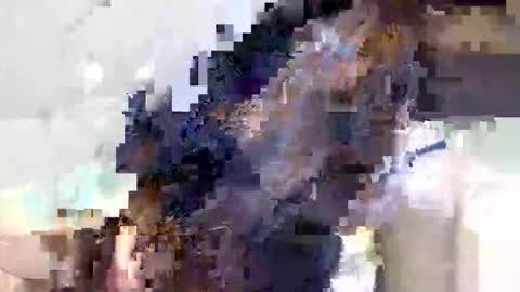 ravenblissx online show from June 2026 03:56:02 PM