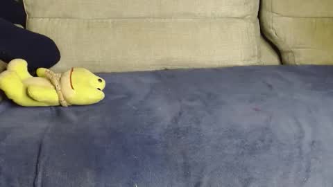 Ray  online show from March 2026 10:53:01 AM