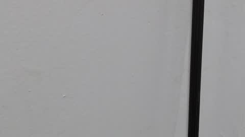 Ray  online show from March 2026 10:40:01 AM