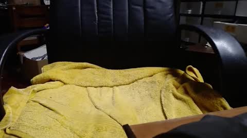 Ray online show from April 2026 01:36:02 AM