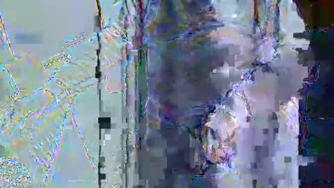 rb69er online show from May 2026 02:55:02 PM