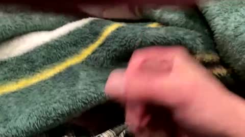 realbigload77 online show from February 2026 04:32:01 AM