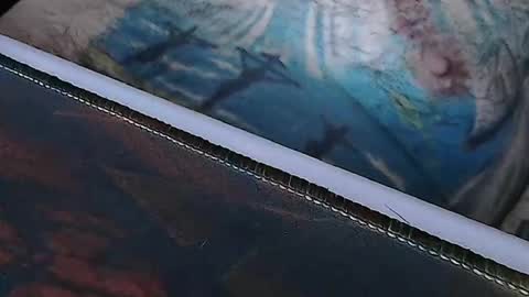 realrubpirate online show from April 2026 08:04:01 AM