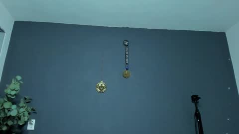 twitter REECET26 instagram RECCETAYLOR online show from February 2026 12:09:01 AM