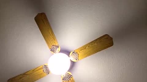 red24devils online show from March 2026 12:39:02 AM