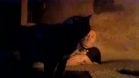 reddragon1195 online show from April 2026 04:55:01 AM