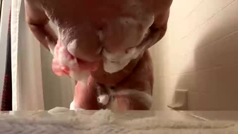 Red online show from November 2025 02:50:02 AM