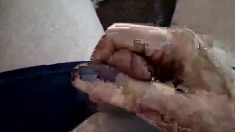 reggie007007 online show from February 2026 01:29:02 PM