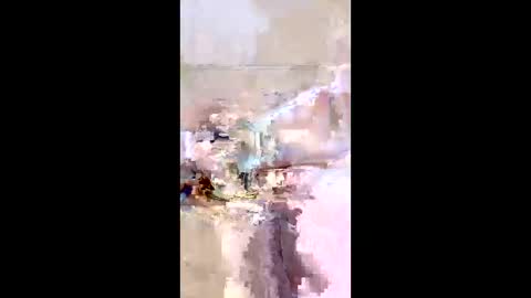 rgbarbary online show from December 2025 09:16:02 AM