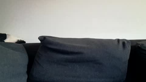 Shaved cock ready online show from March 2026 06:03:01 AM