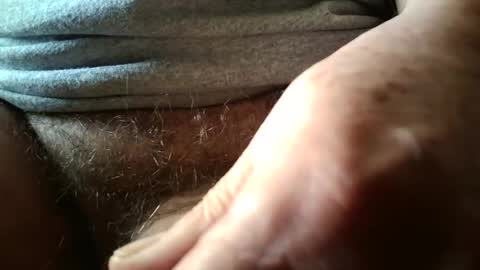 Always crusing cams online show from February 2026 06:35:01 PM