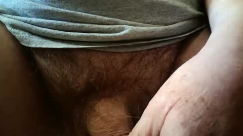 Always crusing cams online show from March 2026 06:44:02 PM