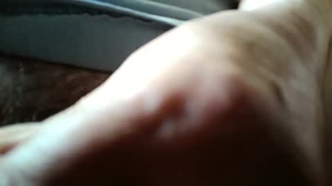 Always crusing cams online show from April 2026 05:57:01 PM