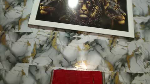 Snapshot of rigel_paxs chatting on February 2026 06:28:01 PM rigel online show from February 2026 06:28:01 PM