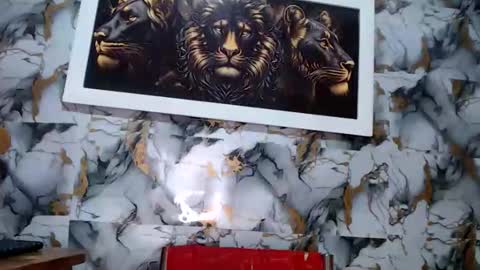 Snapshot of rigel_paxs chatting on March 2026 05:46:02 AM rigel online show from March 2026 05:46:02 AM