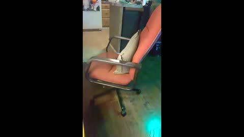 Snapshot of ripchoo chatting on January 2026 01:41:02 AM ripchoo online show from January 2026 01:41:02 AM