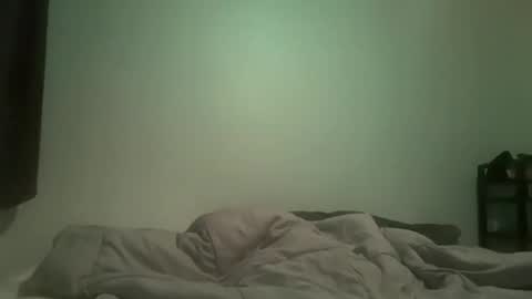 BwC4Breed online show from December 2024 08:55:02 AM