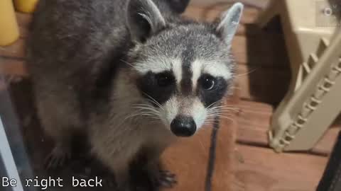 Ryan aka KeylimeRy online show from September 2025 11:56:02 AM