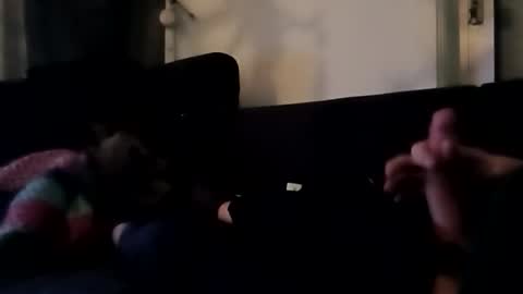 robbdmser3454 online show from March 2026 08:55:02 AM