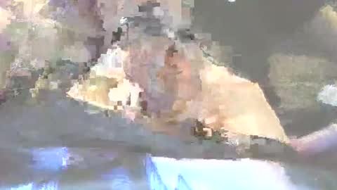 Snapshot of robertharley chatting on December 2025 11:04:01 AM robertharley online show from December 2025 11:04:01 AM