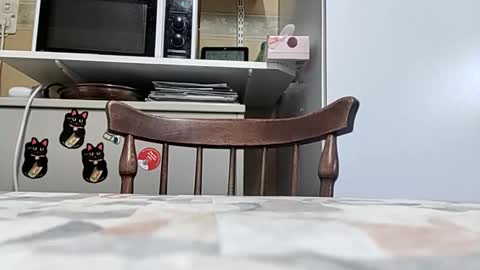 Snapshot of robke1966 chatting on March 2026 06:51:01 AM robke1966 online show from March 2026 06:51:01 AM