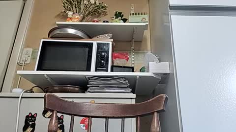 Snapshot of robke1966 chatting on April 2026 05:52:01 AM robke1966 online show from April 2026 05:52:01 AM