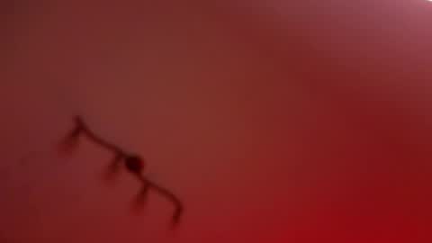 rochelle_dolly online show from April 2026 08:35:02 PM