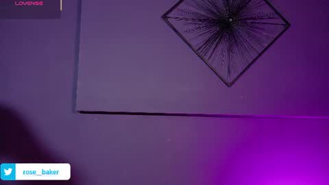  ROSE BAKER  online show from July 2026 12:03:02 PM