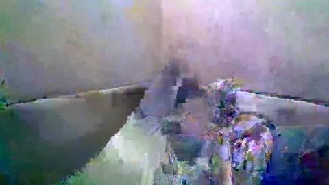 rusqadisx online show from July 2026 06:35:02 PM