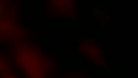 Ryan Star online show from January 2025 08:10:01 AM