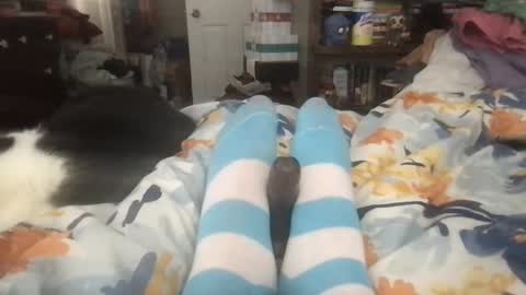 Snapshot of rynababy chatting on January 2025 06:48:01 PM Goku online show from January 2025 06:48:01 PM