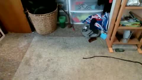 s_t_u_d_420 online show from April 2026 09:39:33 PM