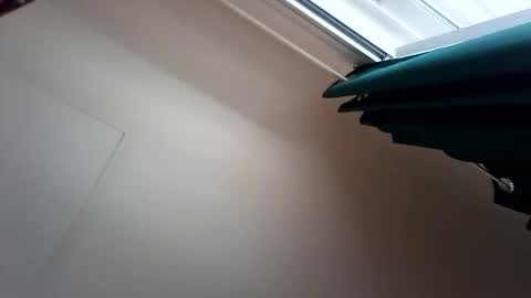 salis1981 online show from December 2025 07:53:02 PM