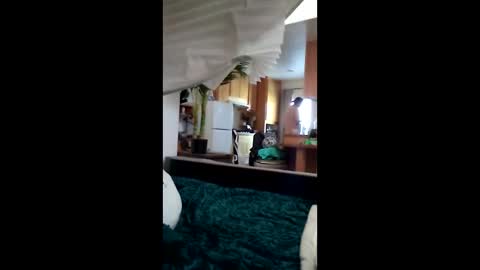 salis1981 online show from March 2026 06:58:01 PM