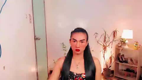 sam online show from December 2024 07:50:02 PM