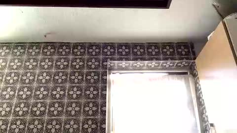 samegee online show from September 2025 07:21:02 AM