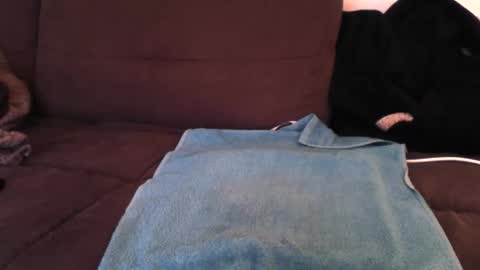 samy1310 online show from April 2026 09:01:02 AM