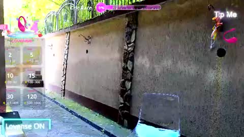 Sandra Milano online show from July 2026 07:48:01 AM
