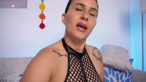   online show from March 2026 11:06:01 AM