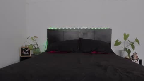 Girl next door online show from January 2025 08:12:01 PM