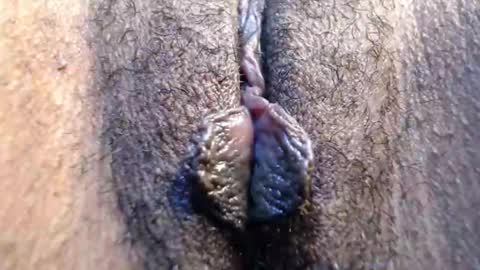 Sarai online show from May 2026 02:44:02 PM