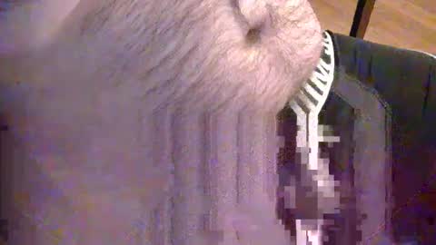 sato58264 online show from May 2026 06:36:02 PM