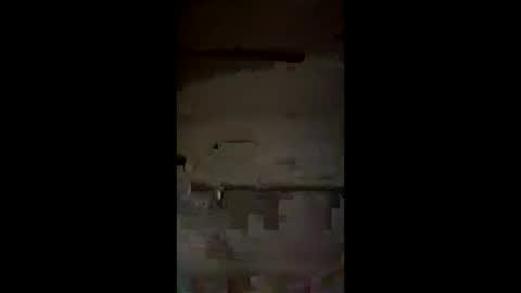 saucysissyuk46 online show from March 2026 01:56:02 AM